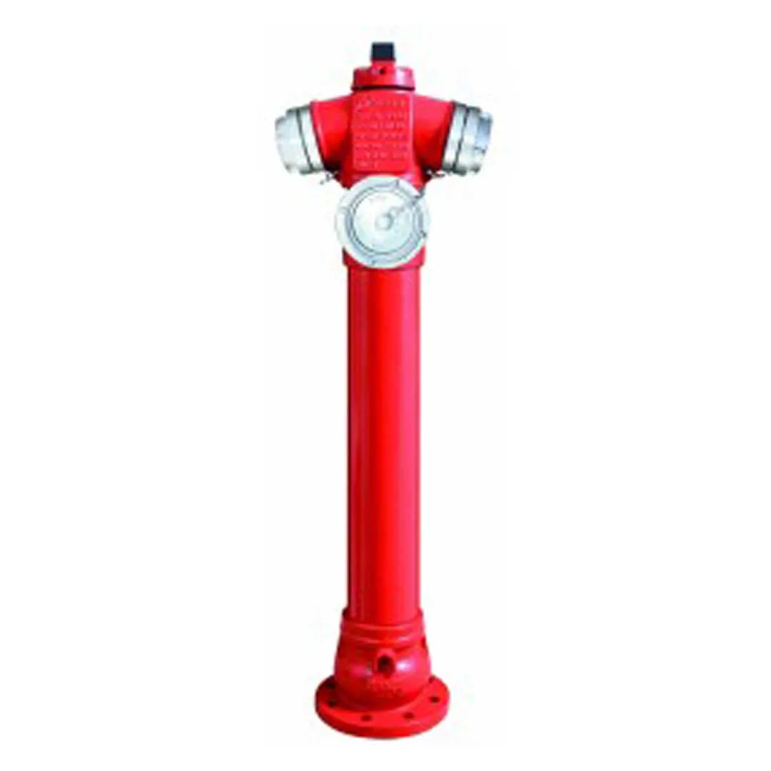 Hidrant suprateran HYDRO-S DN 100, H=1900 mm