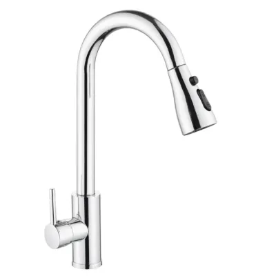 Baterie din inox pentru bucătărie cu furtun extractibil, Aquafix - 15, cromată