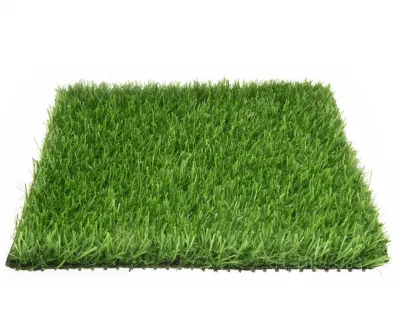 Iarbă artificială Harpe 25mm, 2x25m