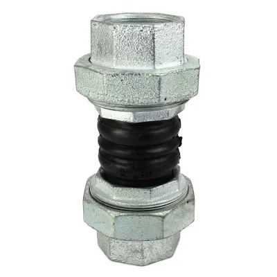 Racord flexibil cu filet - 2"