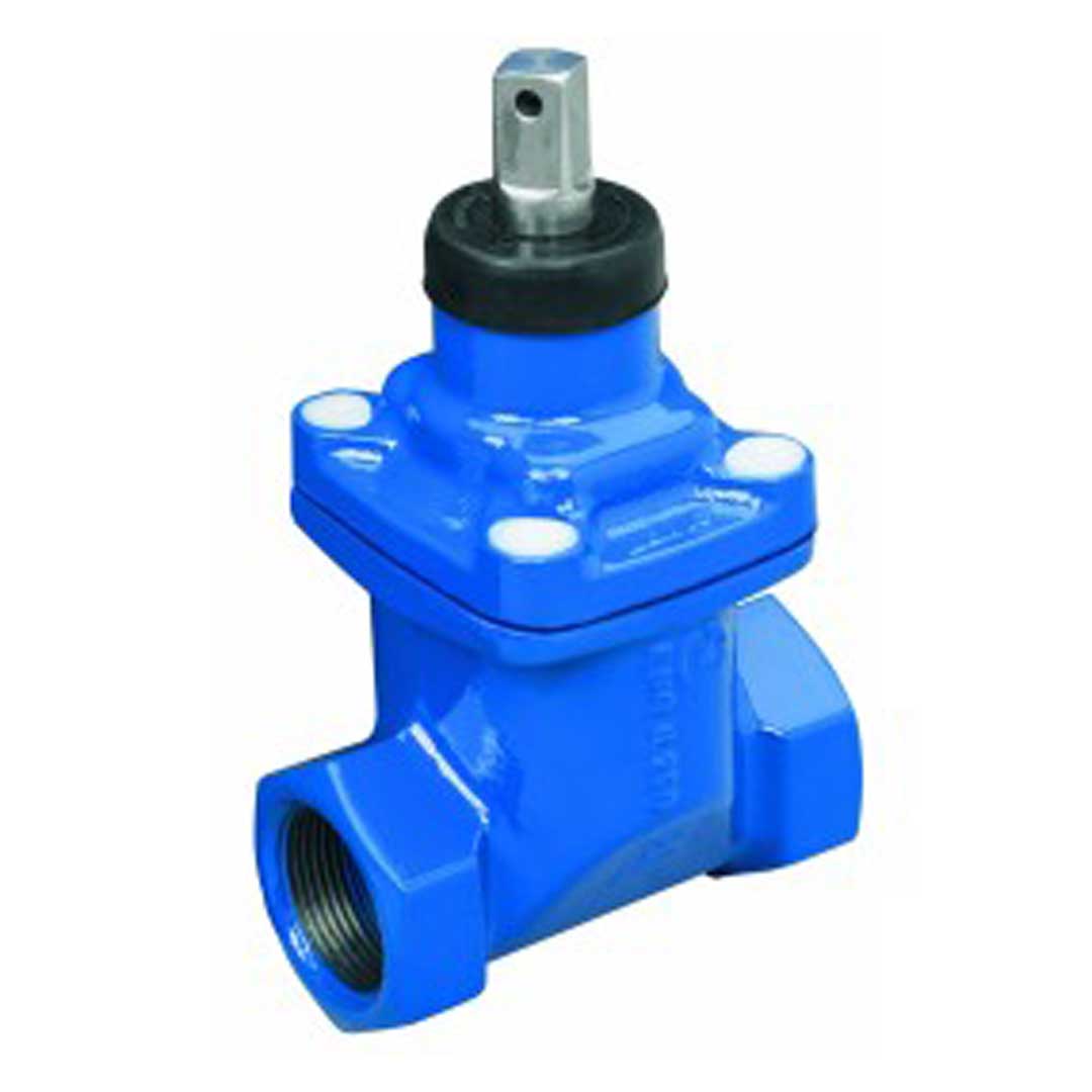 Robinet de concesie HYDRO-S - 2"